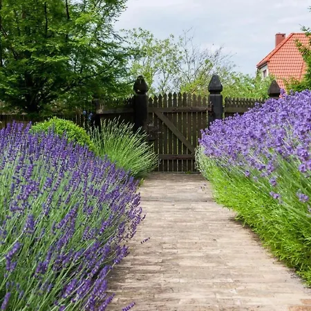 In Mit Gepflegtem Garten By Interhome Сasa de vacaciones Gąski