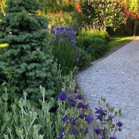 In Mit Gepflegtem Garten By Interhome * Gąski