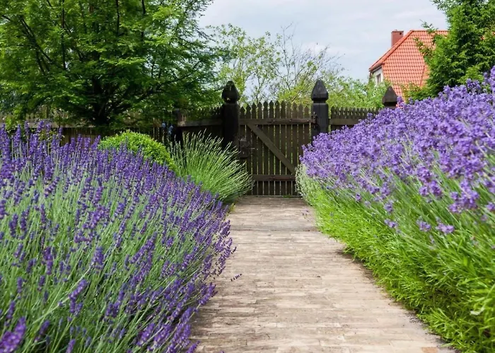In Mit Gepflegtem Garten By Interhome Сasa de vacaciones Gąski